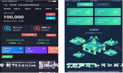 深入分析Tokenim 2.0 钱包空投骗局：如何识别与防范