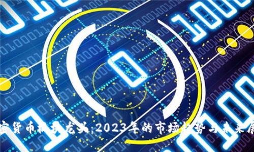 加密货币板块龙头：2023年的市场趋势与未来展望