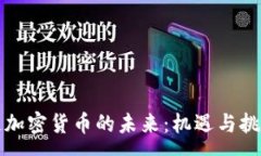 :区块链加密货币的未来：