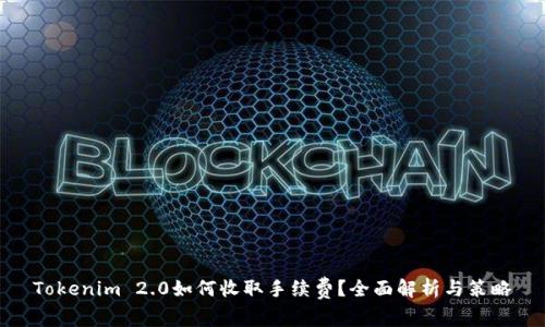Tokenim 2.0如何收取手续费？全面解析与策略