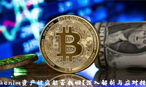 
Tokenim资产被盗能否找回？深入解析与应对措施