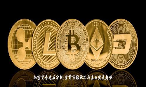 加密货币龙头分析：当前市场状况与未来发展趋势