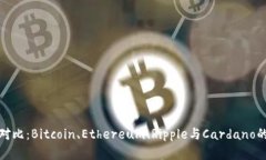 加密货币潜力对比：Bitc