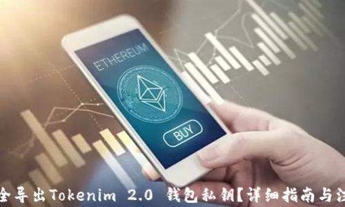 
如何安全导出Tokenim 2.0 钱包私钥？详细指南与注意事项