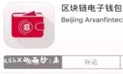 : 揭开AkashX的面纱：未来去