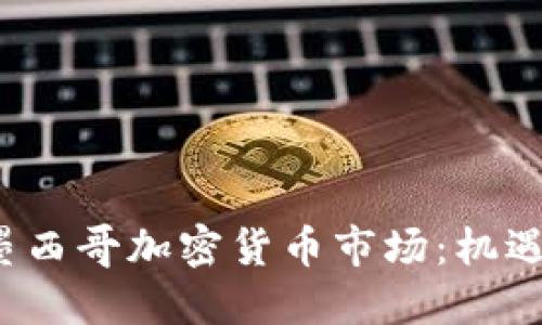  探索墨西哥加密货币市场：机遇与挑战