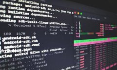 在回答您关于“tokenim 2.0是否可以存ADA”的问题之