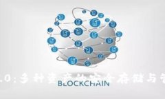 : Tokenim2.0：多种资产的安全存储与管理解决方案