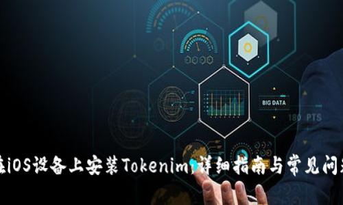 如何在iOS设备上安装Tokenim：详细指南与常见问题解答