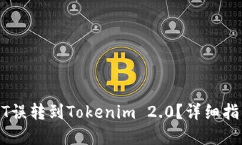 如何处理USDT误转到Tokenim 2.0？详细指南与解决方案