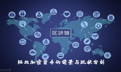 缅北加密货币的前景与现状分析