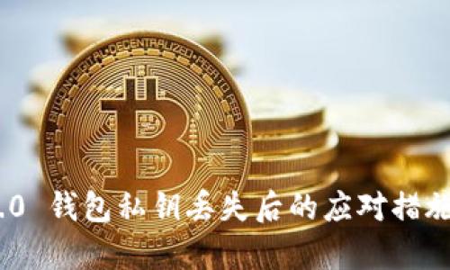Tokenim 2.0 钱包私钥丢失后的应对措施与恢复方法