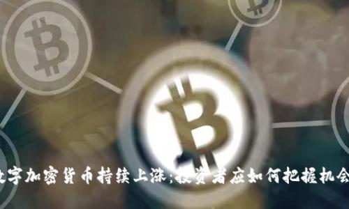 数字加密货币持续上涨：投资者应如何把握机会？