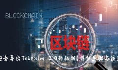 如何安全导出Tokenim 2.0的私钥？详细步骤与注意事